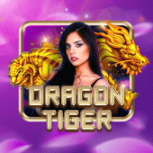 Dragon Tiger - Play on Jilikic App